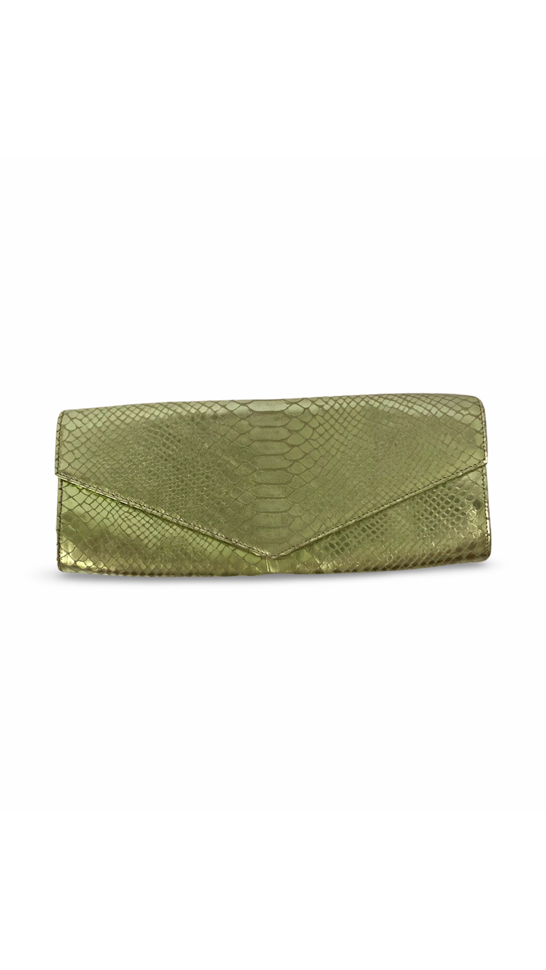 Iridescent Clutch